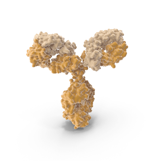 [0501-DEIA-JY2141-96T] Human Antisize:Varicella Zoster Virus  gE  Antibody IgG ELISA Kit